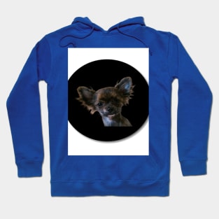 dog Hoodie